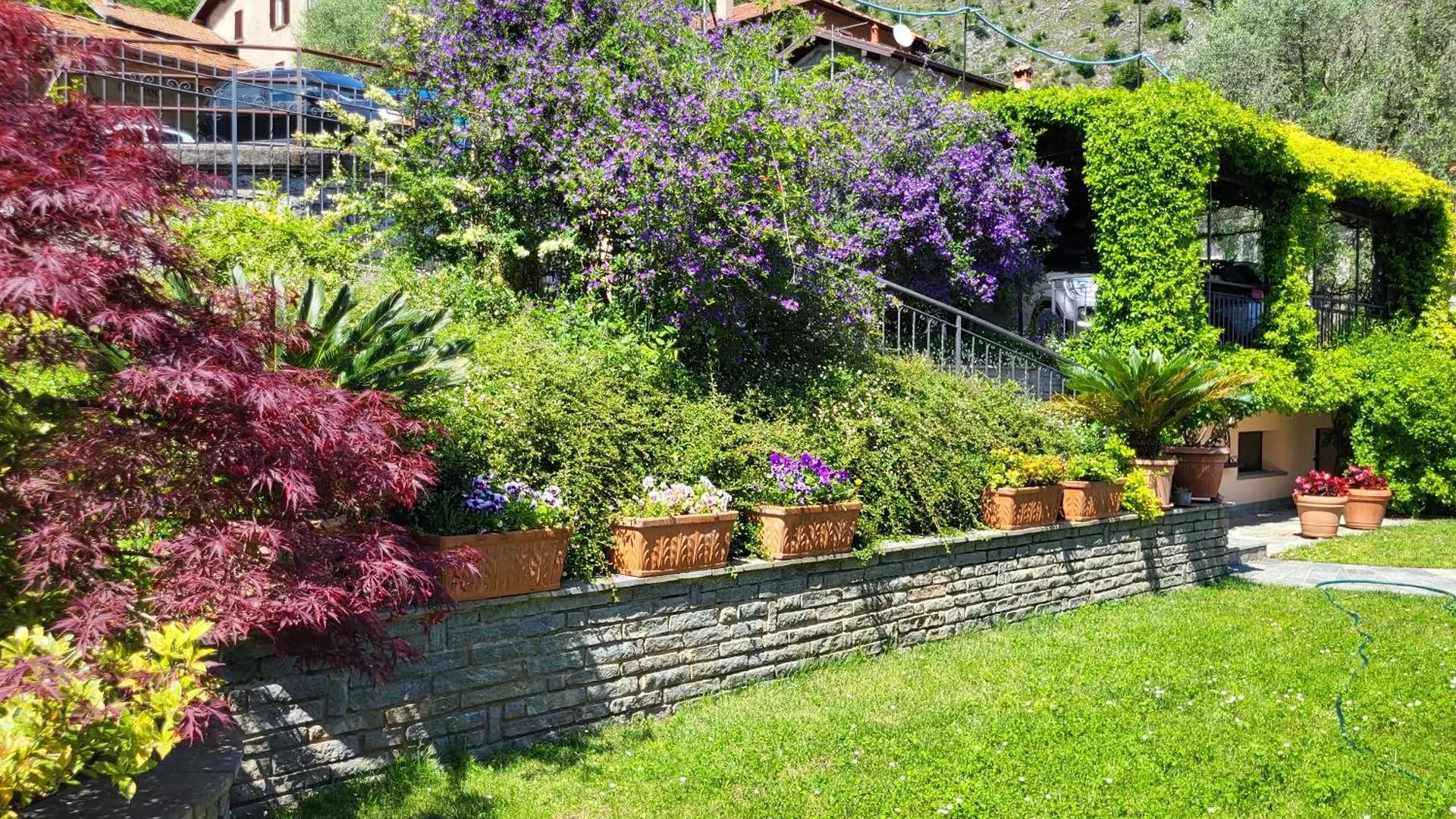 Casa Intignano - Appartamento Con Terrazzo Vista Lago Tremezzo 0*,